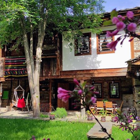 Kalinia Guesthouse B&B Kovacsevica Kültér fotó