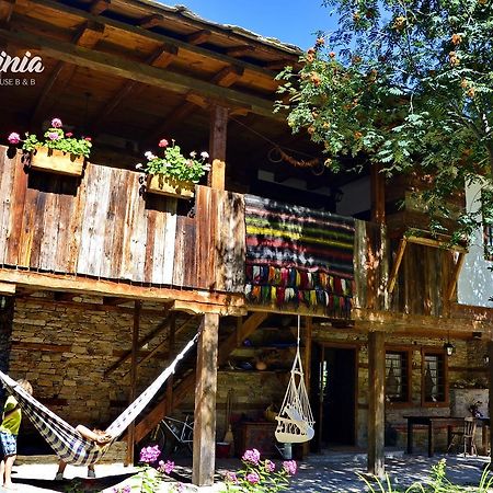 Kalinia Guesthouse B&B Kovacsevica Kültér fotó