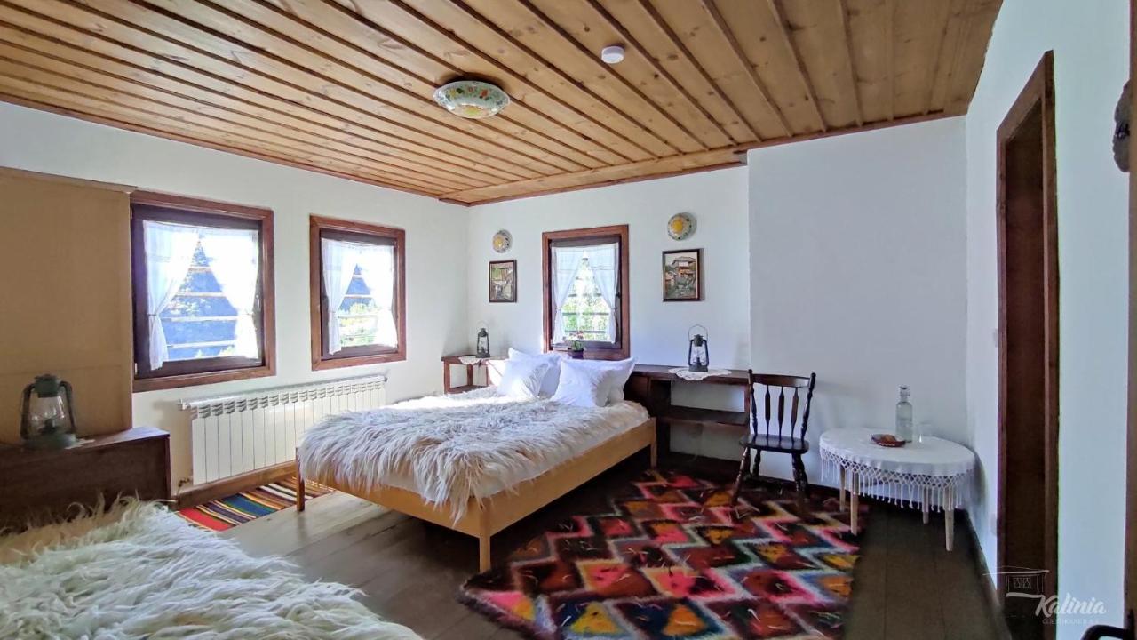 Kalinia Guesthouse B&B Kovacsevica Kültér fotó