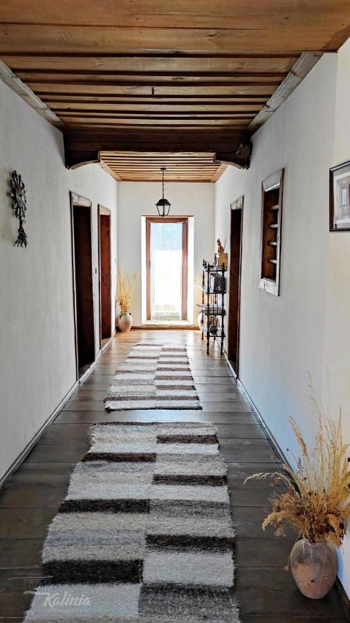 Kalinia Guesthouse B&B Kovacsevica Kültér fotó