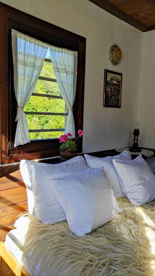 Kalinia Guesthouse B&B Kovacsevica Kültér fotó