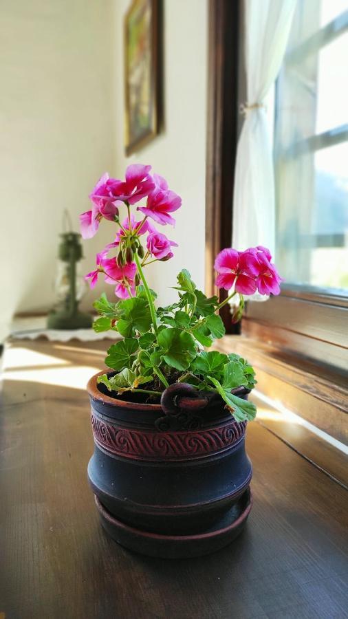 Kalinia Guesthouse B&B Kovacsevica Kültér fotó