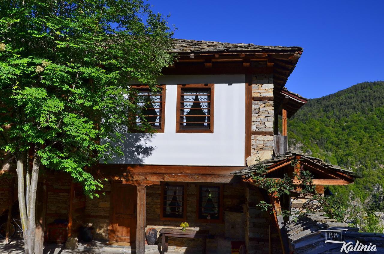Kalinia Guesthouse B&B Kovacsevica Kültér fotó