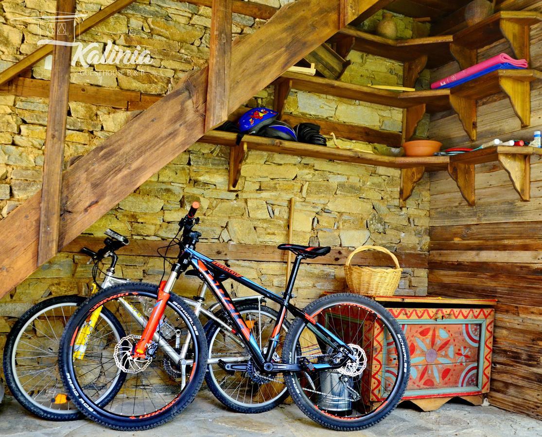 Kalinia Guesthouse B&B Kovacsevica Kültér fotó