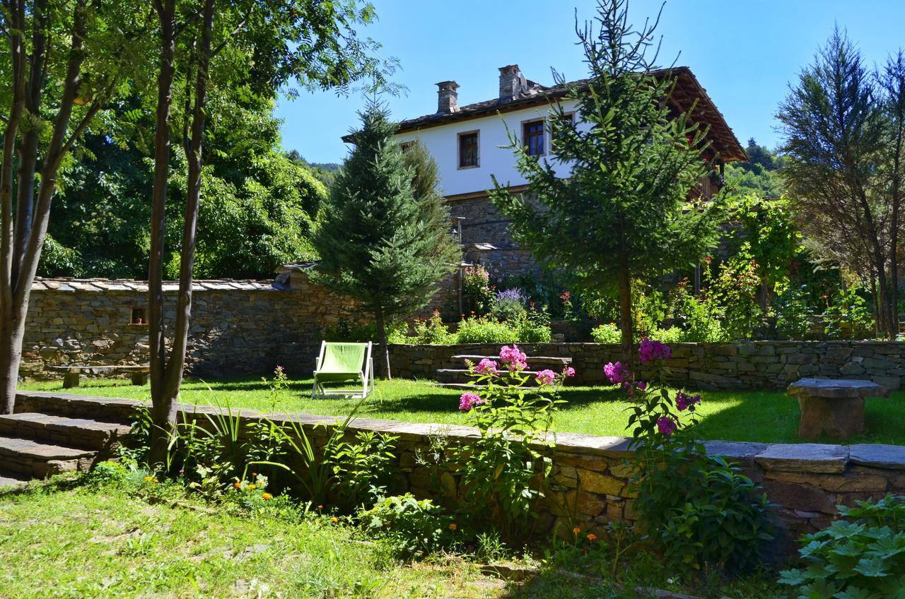 Kalinia Guesthouse B&B Kovacsevica Kültér fotó