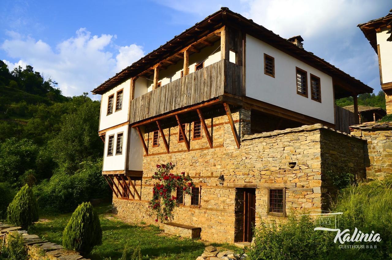 Kalinia Guesthouse B&B Kovacsevica Kültér fotó
