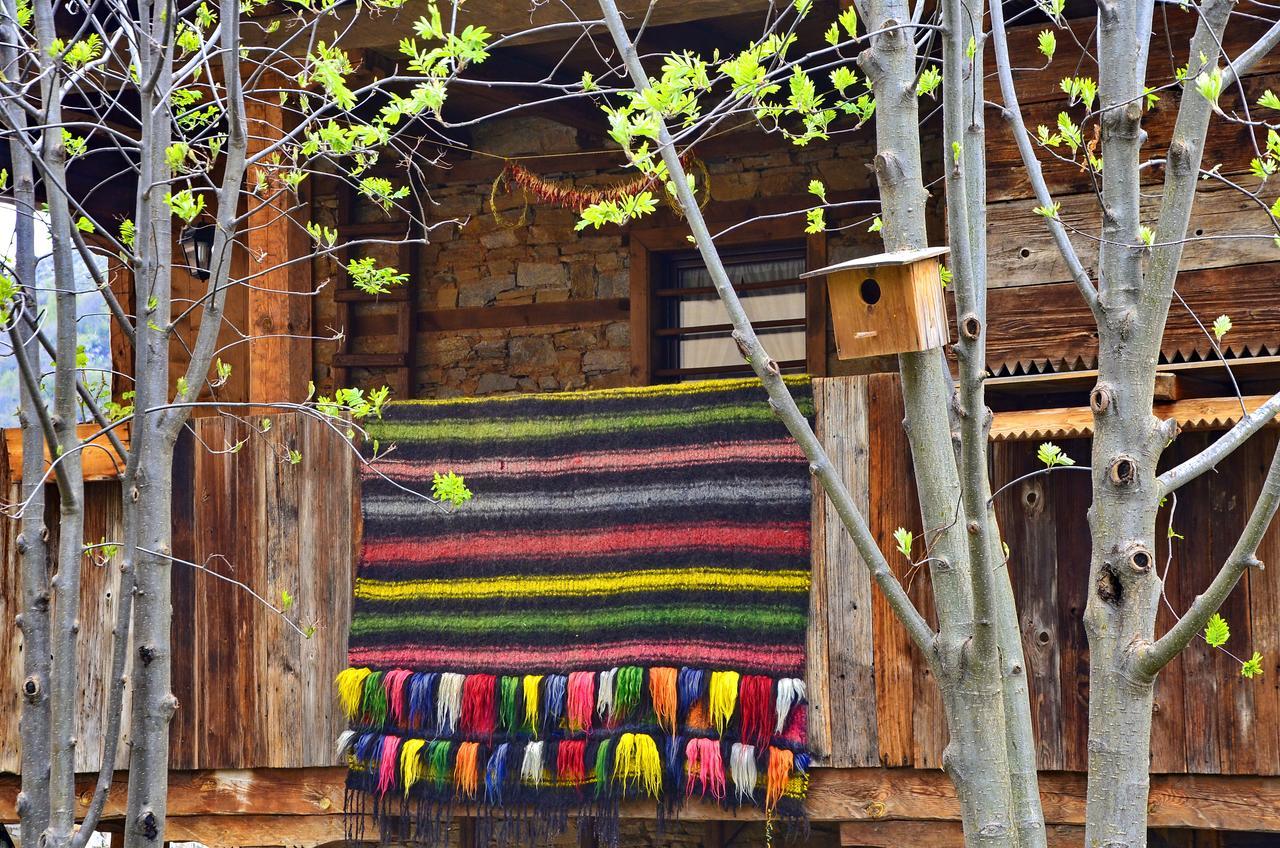 Kalinia Guesthouse B&B Kovacsevica Kültér fotó
