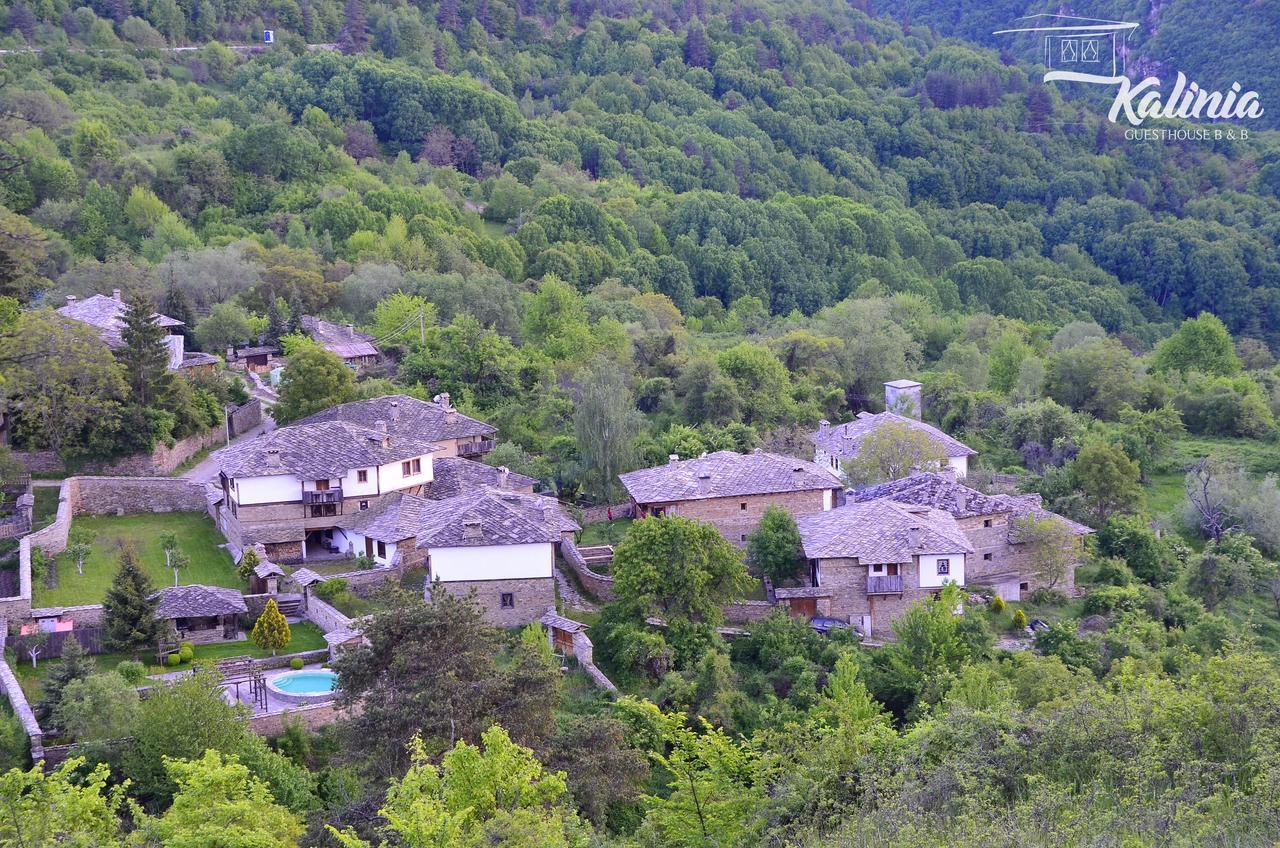 Kalinia Guesthouse B&B Kovacsevica Kültér fotó