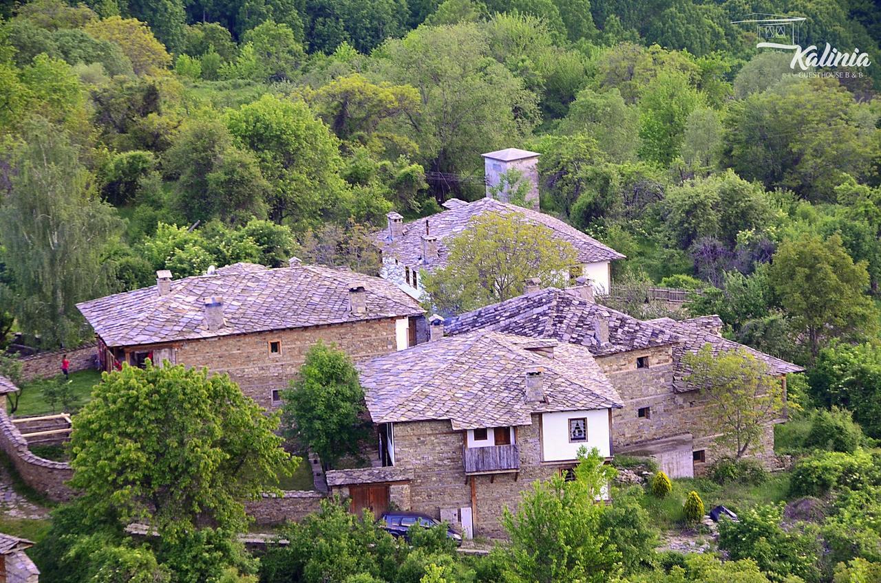 Kalinia Guesthouse B&B Kovacsevica Kültér fotó