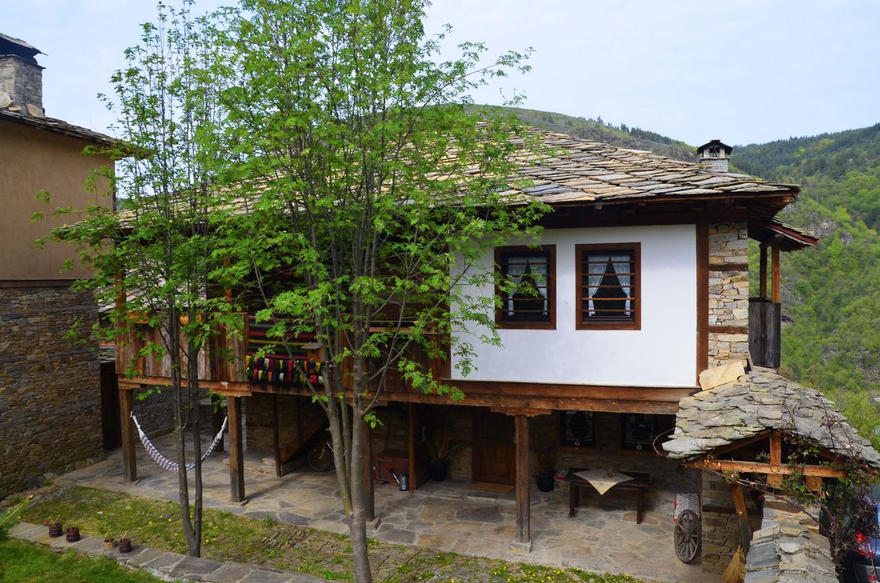 Kalinia Guesthouse B&B Kovacsevica Kültér fotó
