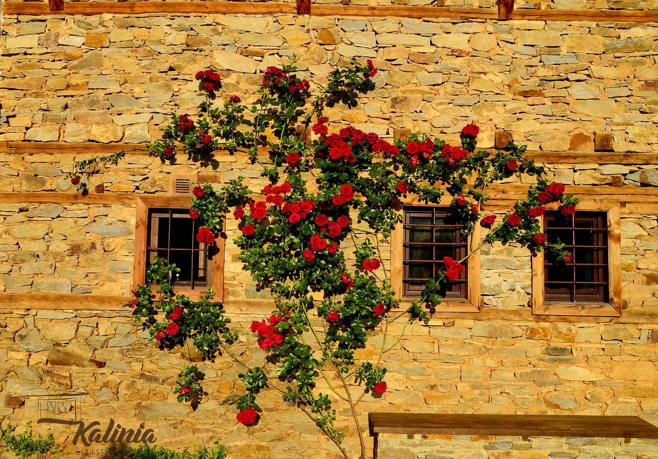 Kalinia Guesthouse B&B Kovacsevica Kültér fotó