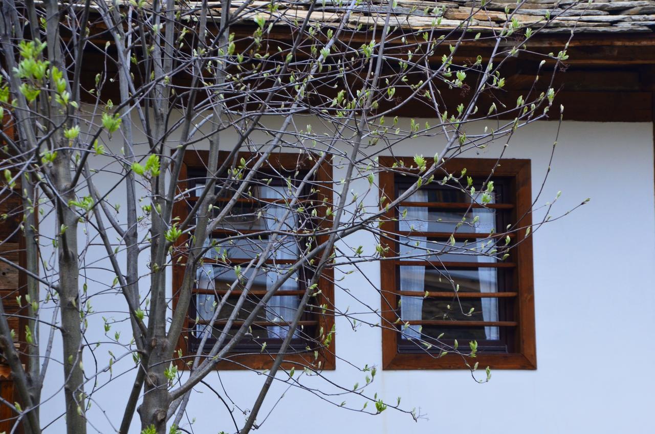 Kalinia Guesthouse B&B Kovacsevica Kültér fotó