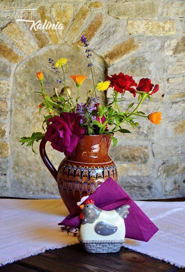 Kalinia Guesthouse B&B Kovacsevica Kültér fotó