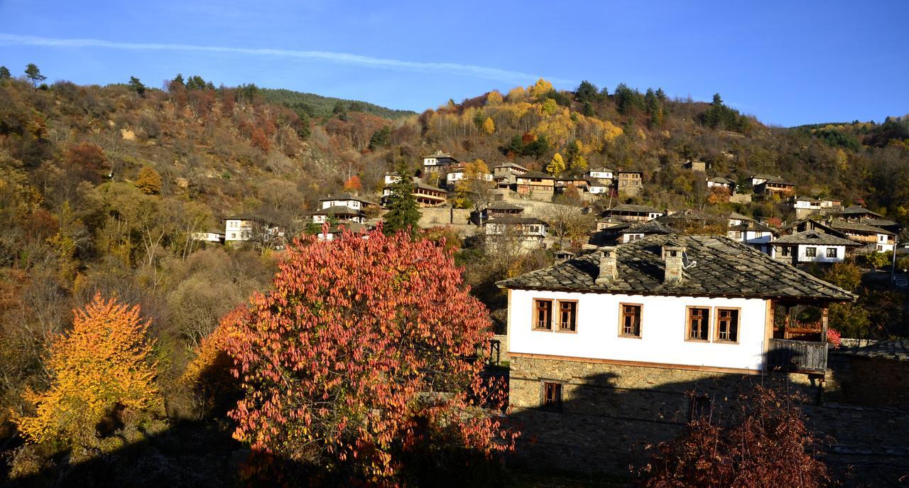 Kalinia Guesthouse B&B Kovacsevica Kültér fotó