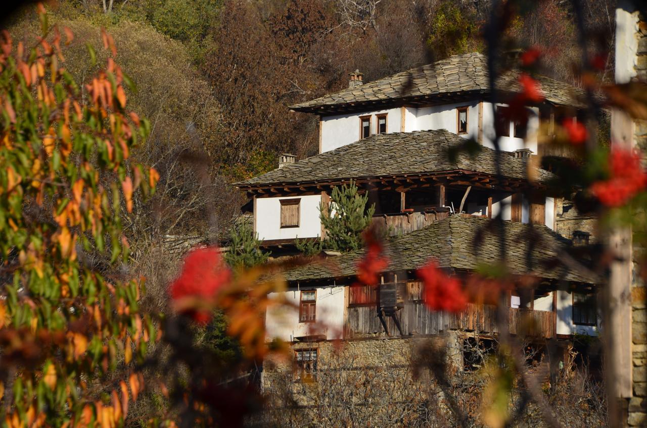 Kalinia Guesthouse B&B Kovacsevica Kültér fotó