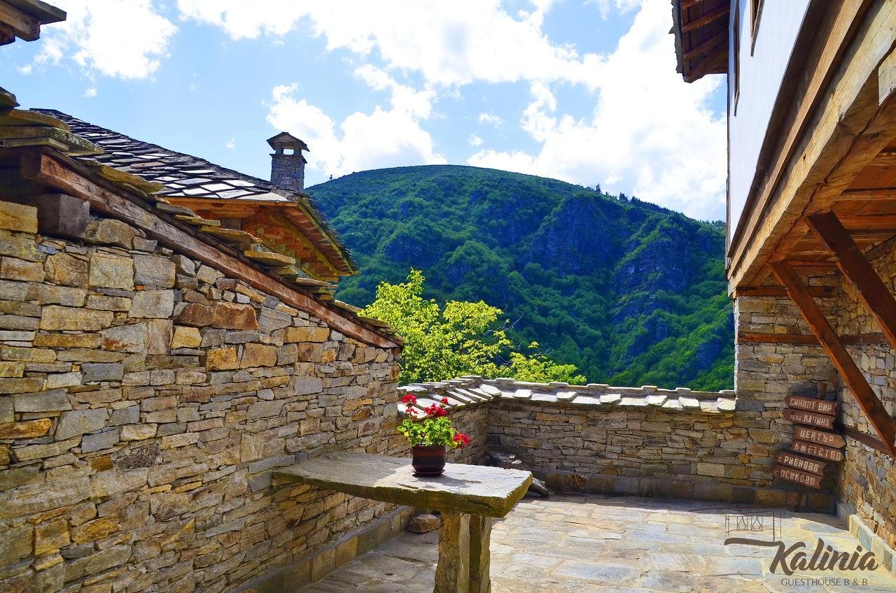 Kalinia Guesthouse B&B Kovacsevica Kültér fotó