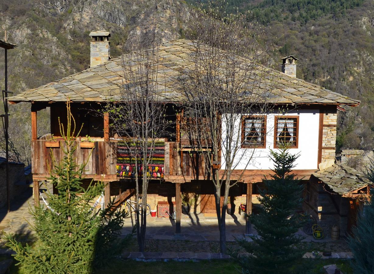 Kalinia Guesthouse B&B Kovacsevica Kültér fotó