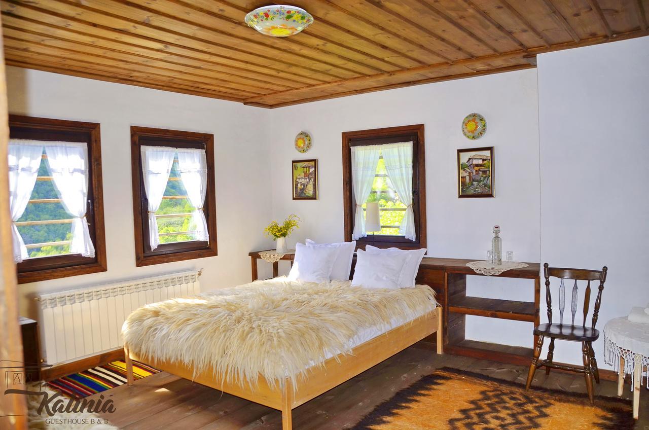 Kalinia Guesthouse B&B Kovacsevica Kültér fotó