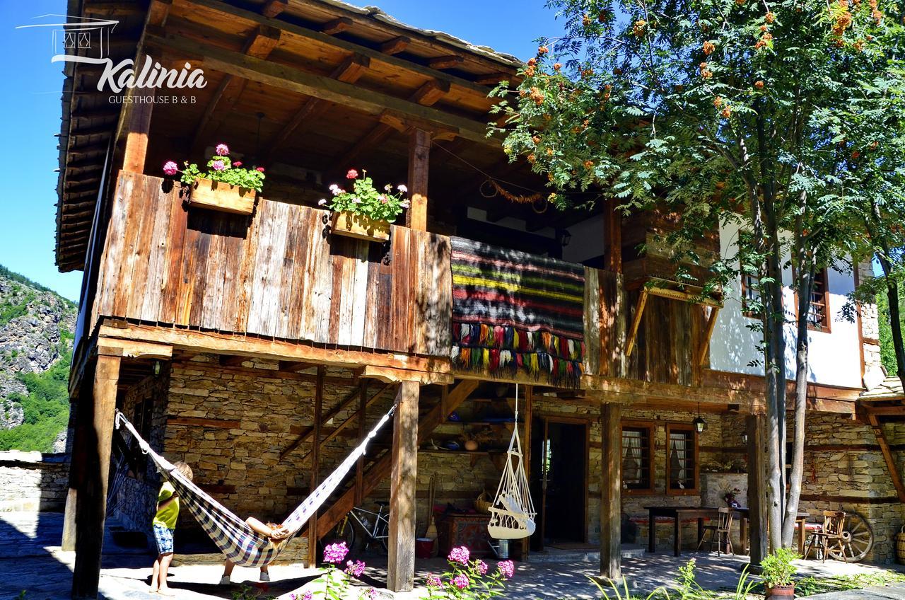 Kalinia Guesthouse B&B Kovacsevica Kültér fotó