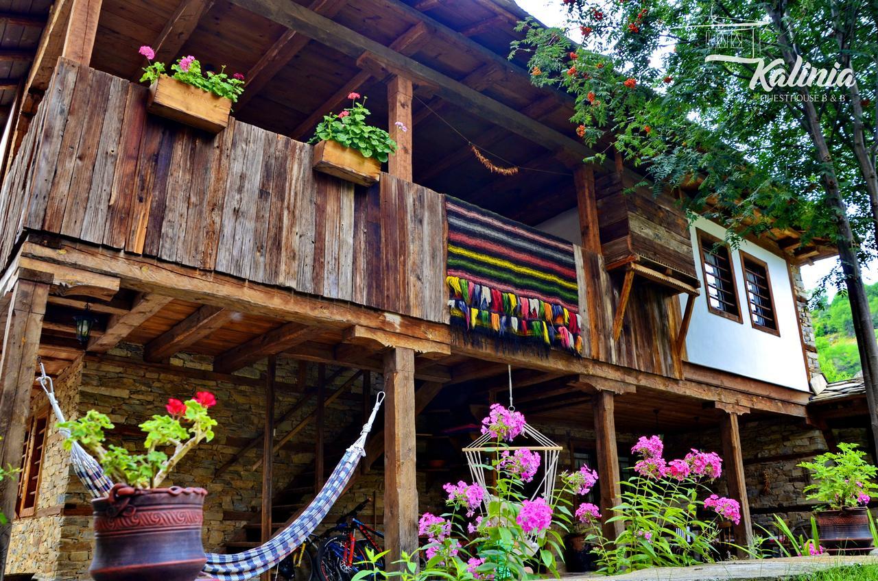 Kalinia Guesthouse B&B Kovacsevica Kültér fotó