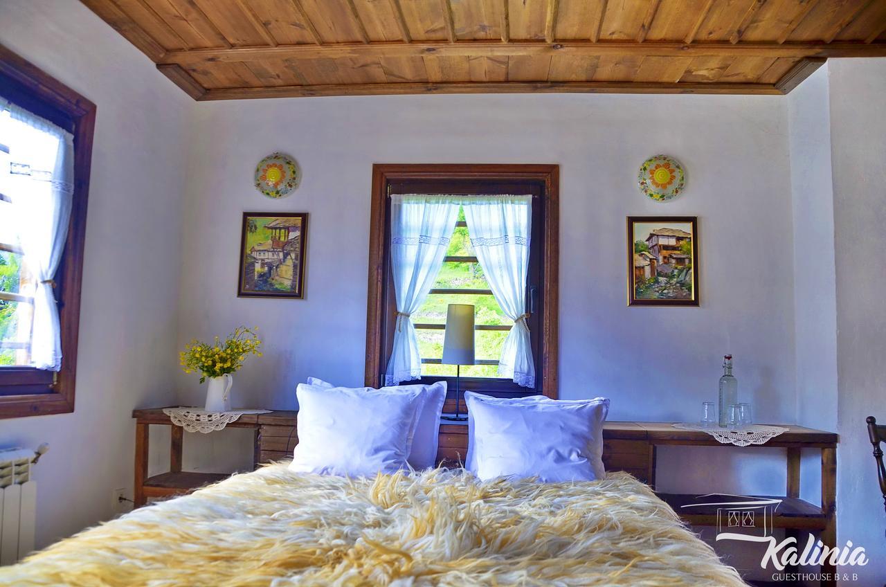 Kalinia Guesthouse B&B Kovacsevica Kültér fotó