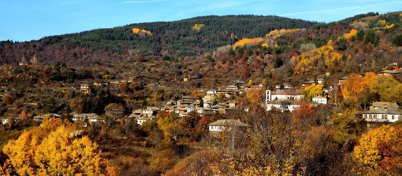 Kalinia Guesthouse B&B Kovacsevica Kültér fotó