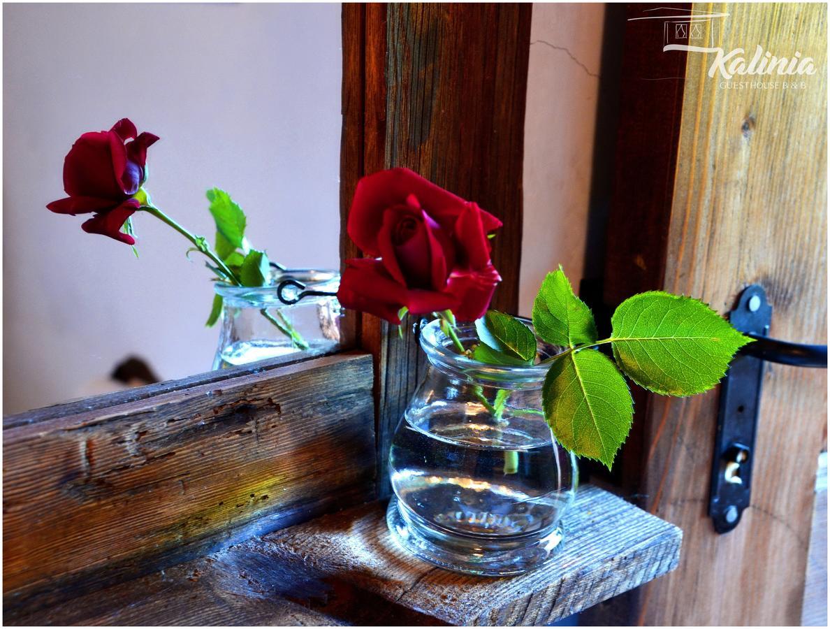 Kalinia Guesthouse B&B Kovacsevica Kültér fotó